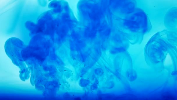 Blue ink in water. On a blue background — Stock Video