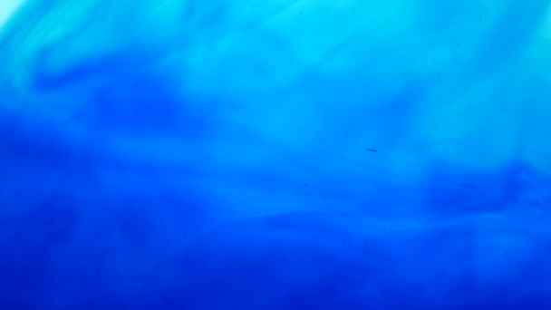 水の青インク。白い背景に — ストック動画