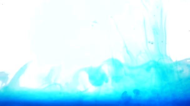 Синие чернила в воде на белом фоне — стоковое видео