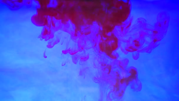 Gekleurde inkt wolk groeit in water — Stockvideo