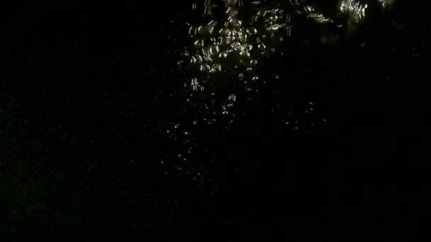 bulles d'eau aquarium fond noir 