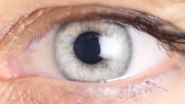 Ludzkie oko Umawiające się tęczówki. Ekstremalnych bliska — Wideo stockowe