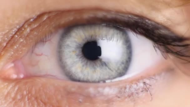 A íris do olho humano contrai. Extremo de perto — Vídeo de Stock