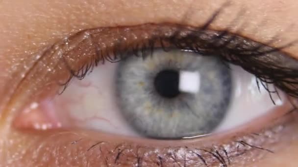 A íris do olho humano contrai. Extremo de perto — Vídeo de Stock