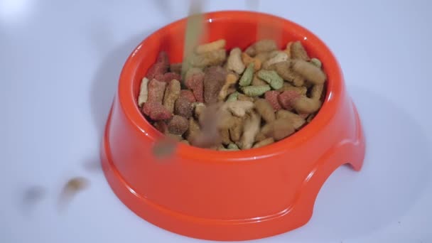 Slow Motion: vallen van voedsel voor huisdieren op een hoop op witte achtergrond — Stockvideo