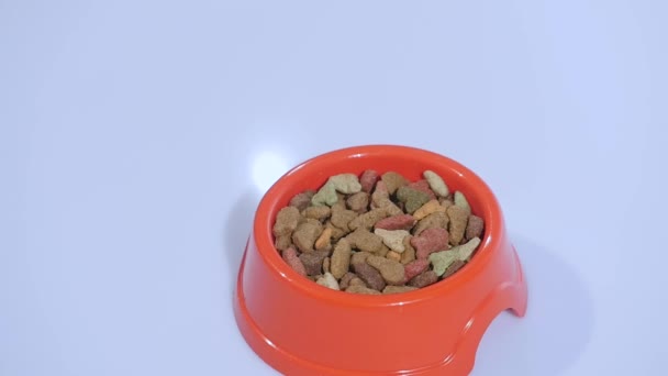 Pet foods dropping slow motion in red bowl — Stock Video