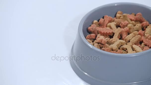 Lento: Un alimento para mascotas desbordar un recipiente gris para mascotas 96fps — Vídeos de Stock