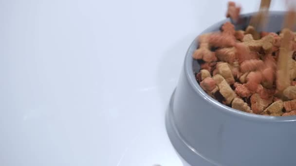 Lento: Un alimento para mascotas desbordar un recipiente gris para mascotas 96fps — Vídeo de stock