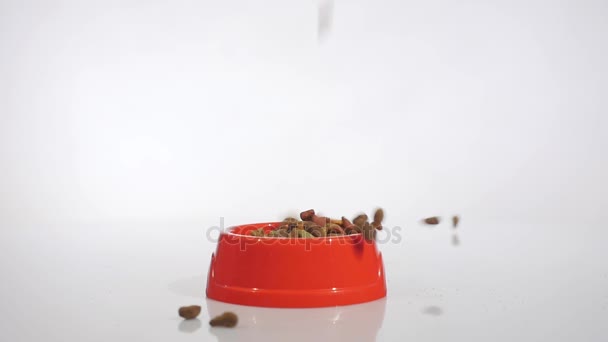 Корм для домашних животных падает замедленным движением в красной чаше — стоковое видео