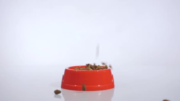 Pet foods dropping slow motion in red bowl — Stock Video