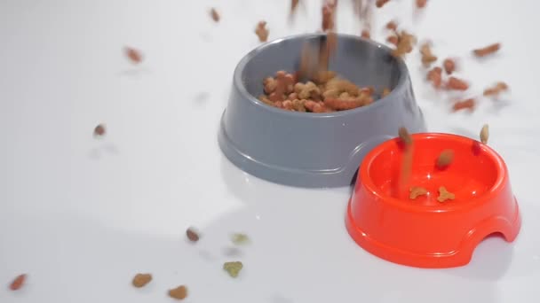 Pet foods dropping slow motion in red bowl — Stock Video