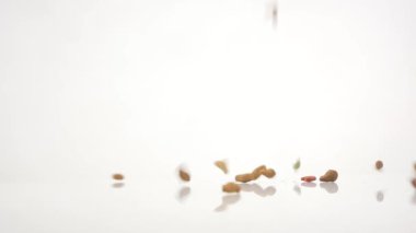 Beyaz arka plan ağır çekim evde beslenen hayvan yiyecek Güz