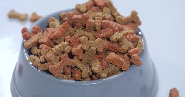 Dog bone and dog Food rotates on white — Stock Video