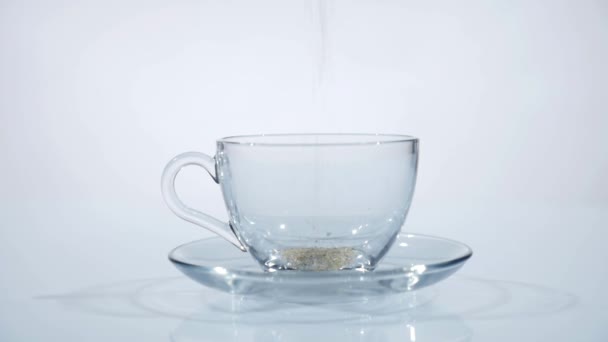 Las hojas de té están cayendo en taza transparente de vidrio. Movimiento lento — Vídeo de stock