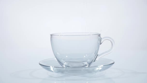 Tea leaves are falling in glass transparent cup. Slow motion — Stock Video