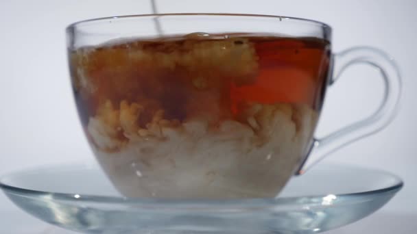 Adding milk to black tea in a glass mug, close up — Stock Video