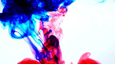 Kırmızı ve mavi mürekkep su. Yaratıcı ağır çekim. Beyaz bir arka plan üzerinde. Arka plan.