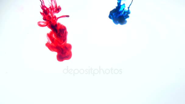 Κόκκινο και μπλε μελάνι στο νερό. Δημιουργική αργή κίνηση. Σε λευκό φόντο. Αφηρημένα φόντο. — Αρχείο Βίντεο