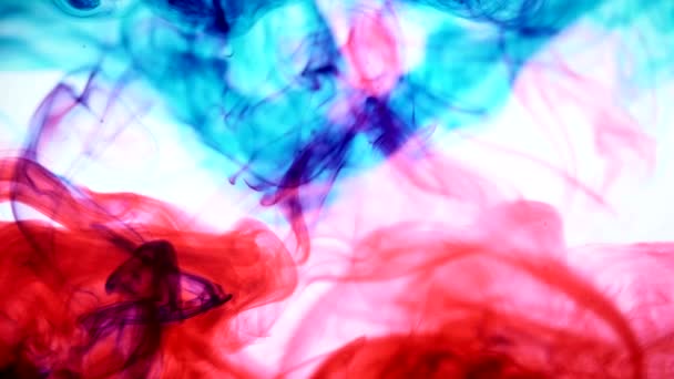 水に赤と青のインク。創造的なスローモーション。白地。抽象的な背景. — ストック動画