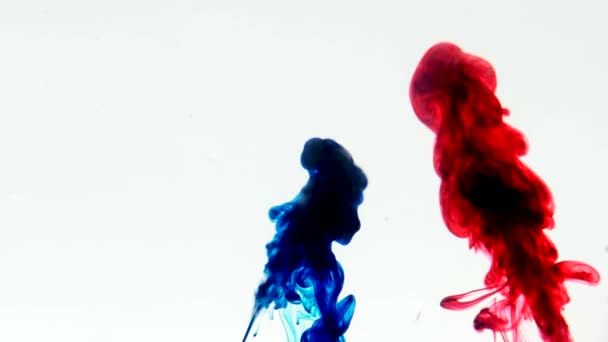 Barva inkoustu tekoucí vodou na bílém pozadí — Stock video