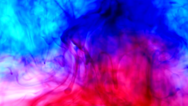 Red Blue Ink in Water — Stock Video