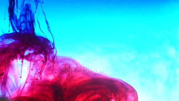 Ink in water. Colour ink reacting in water creating abstract cloud formations — Stock Video