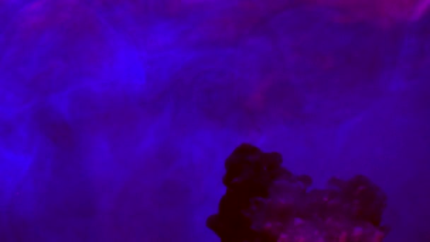 色の液体を水に落とした。青と赤紫に混合されます。広がる落下色を色します。 — ストック動画