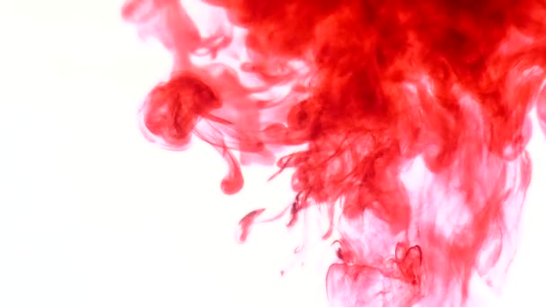 Red ink in water. Abstract — Stock Video