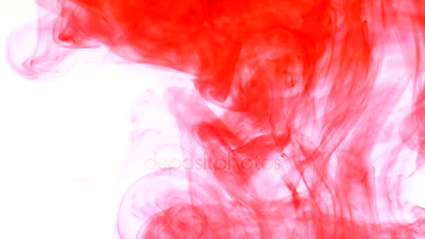 Tinta roja en el agua. Abstracto — Vídeo de stock