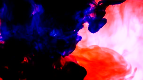 Blauwe en rode inkt mengen samen op een zuiver witte achtergrond — Stockvideo