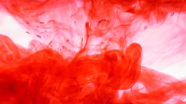 Tinta roja en el agua. Abstracto — Vídeos de Stock