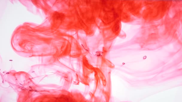 Tinta roja en el agua. Abstracto — Vídeo de stock