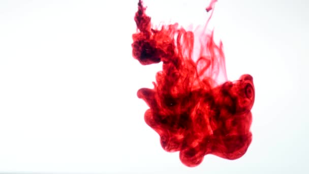 Red ink in water. Abstract — Stock Video