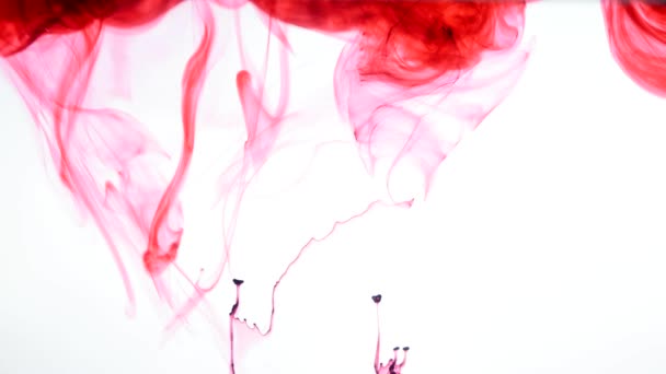 Red ink in water. Abstract — Stock Video