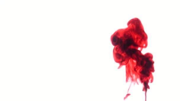 Red ink in water. Abstract — Stock Video