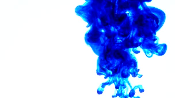 Blue ink in water.Creative slow motion. On a white background — Stock Video