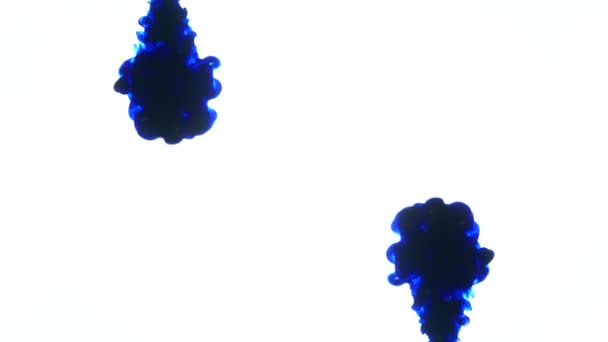 Inchiostro blu in acqua.Creativo rallentatore. Su sfondo bianco — Video Stock