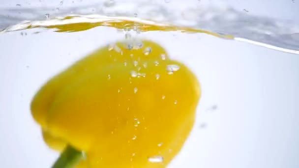 Paprika fällt ins Wasser auf weißem Hintergrund — Stockvideo