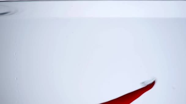 白い背景の上に水で落ちる赤いチリペッパー — ストック動画