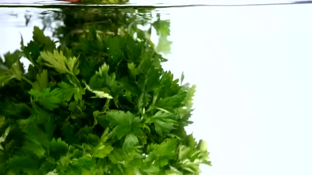 Knippe persilja isolerade falla i vatten — Stockvideo