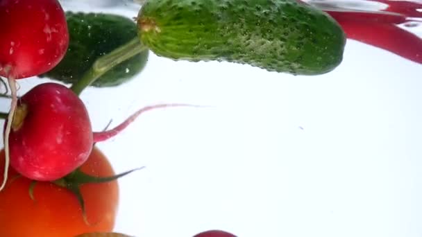 Смешанные овощи мешают в воде. Помидоры, редис и огурец — стоковое видео