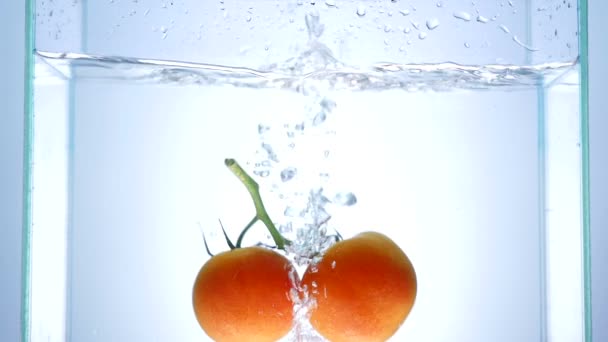 Fresh large tomato falls in water and makes bubbles — Stock Video
