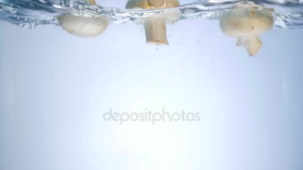 Cogumelos caem na água. Pequenos cogumelos caindo lentamente na água criando salpicos de água e bolhas de ar — Vídeo de Stock