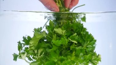 Suya düşen demet maydanoz izole