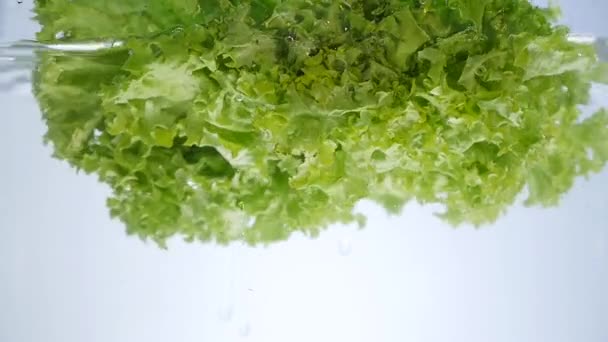 Head of lettuce splashes into the water — Stock Video
