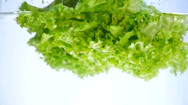 Head of lettuce splashes into the water — Stock Video