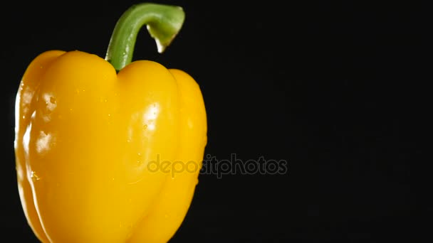 Yellow bell pepper on a black background — Stock Video