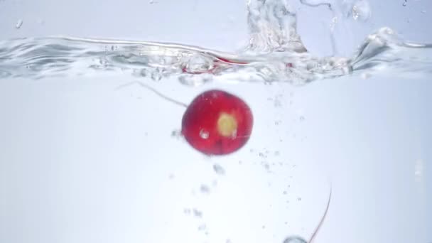 Gemengde groenten roer in het water. Paprika, tomaten, komkommer en radijs — Stockvideo