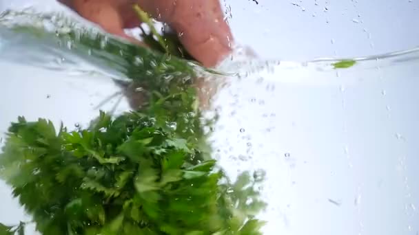 Mélanger les légumes dans l'eau. Poivron, tomates, concombre et radis — Video