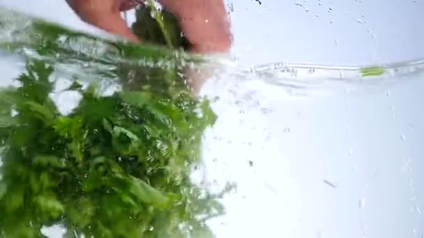 Pęczek pietruszki na białym tle wchodzących w wodzie — Wideo stockowe